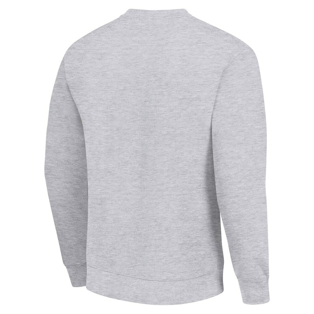 Green Bay Packers Starter Color Scratch Team Graphic Fleece Pullover Sweatshirt - Heather Gray cheap