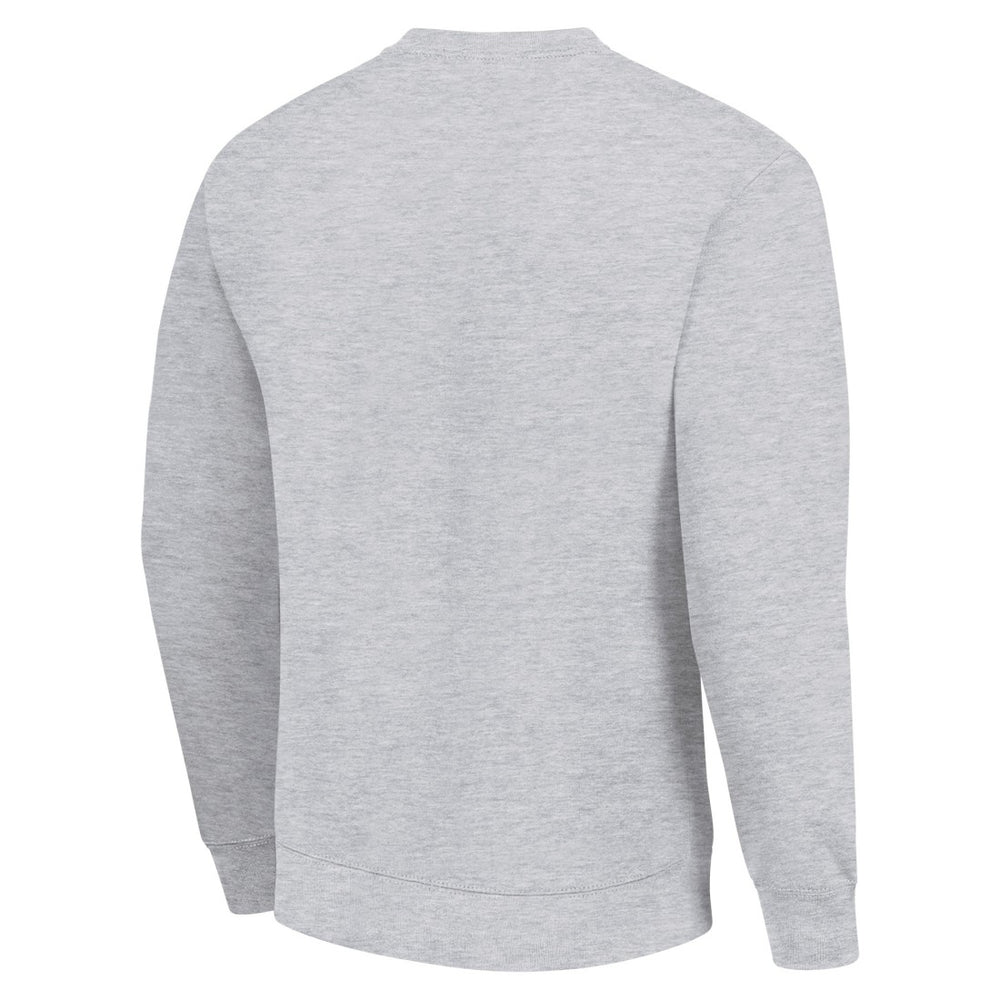 Green Bay Packers Starter Half Ball Team Graphic Tri-Blend Fleece Pullover Sweatshirt - Heather Gray online
