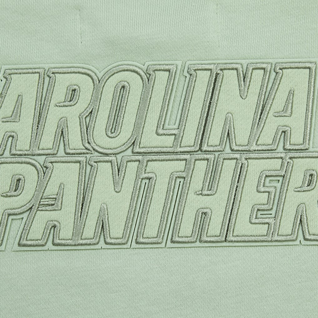 Carolina Panthers Pro Standard Women's Oversized Cropped Neutral Pullover Sweatshirt - Light Green on sale
