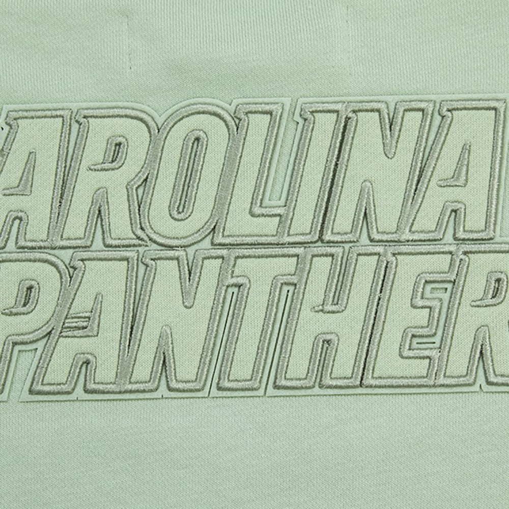 Carolina Panthers Pro Standard Women's Oversized Cropped Neutral Pullover Sweatshirt - Light Green on sale