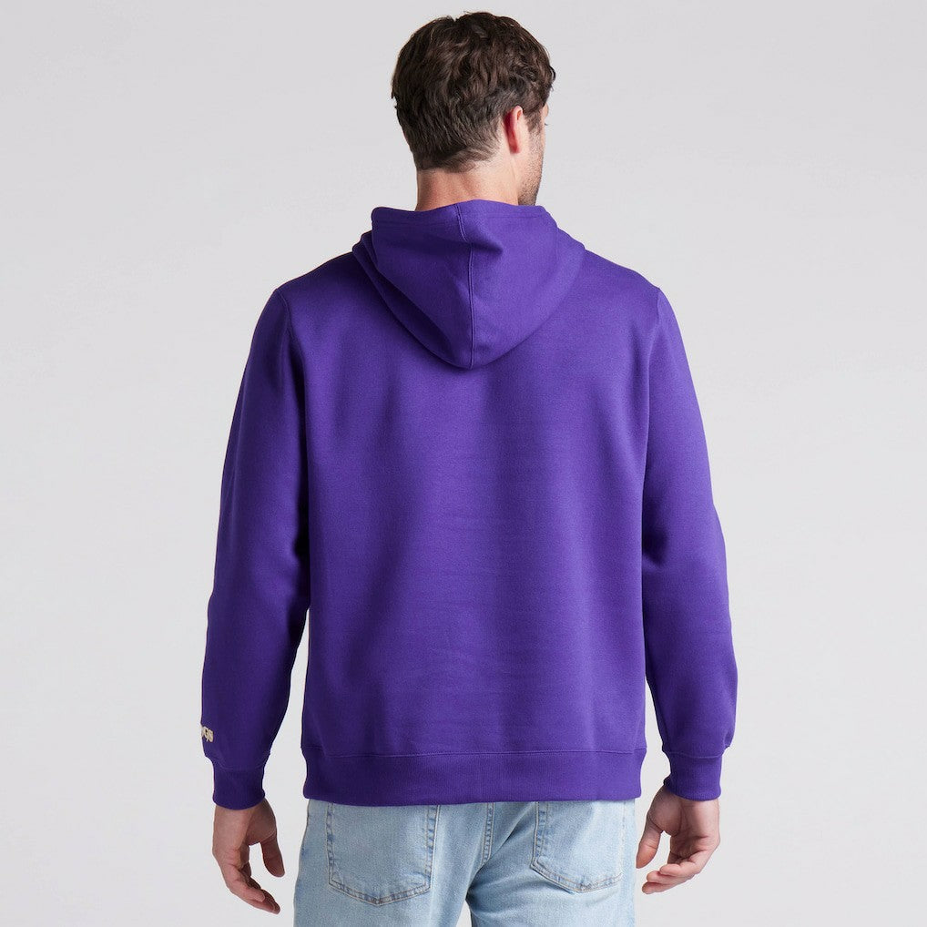 Minnesota Vikings Pylon Cam Legacy Pullover Hoodie - Purple outlet