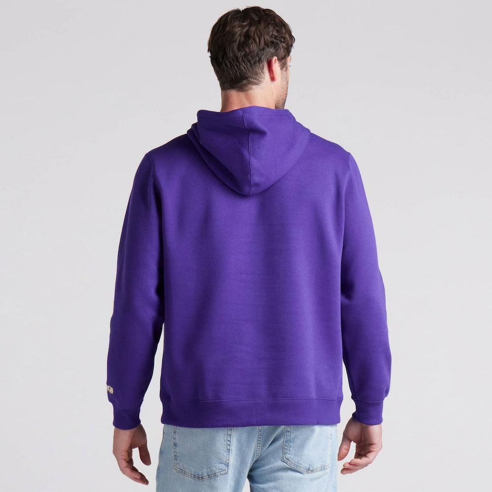 Minnesota Vikings Pylon Cam Legacy Pullover Hoodie - Purple outlet