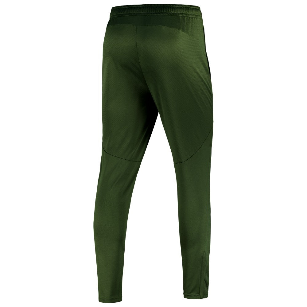 Manchester City 2024/25 dryCELL Training Pants - Sky Forest Green for sale