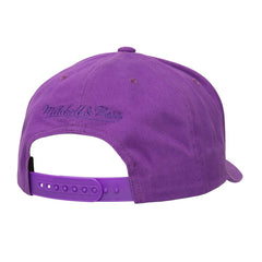 Phoenix Suns Washed Out Tonal Logo Snapback Hat - Purple online