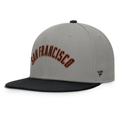 San Francisco Giants Clubhouse Dugout Fitted Hat Gray/Black