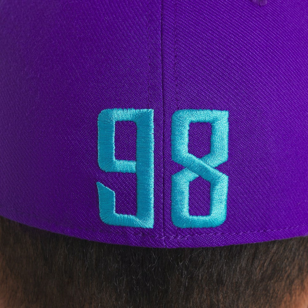 Arizona Diamondbacks 2025 City Connect Rise Swoosh Performance Flex Hat Purple