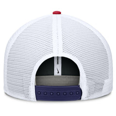Chicago Cubs Pro Trucker Snapback Hat Royal