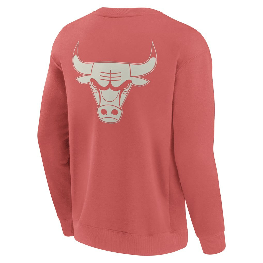 Chicago Bulls Elements Future Ground Lettering Pullover Sweatshirt - Red cheap