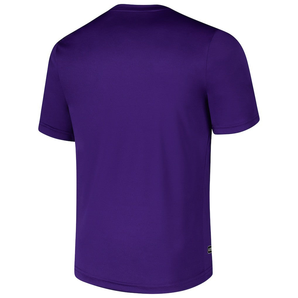 Minnesota Vikings Stadium Retro T-Shirt - Purple online
