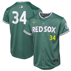 David Ortiz Boston Red Sox Youth 2025 City Connect Limited Retired Player Jersey Green