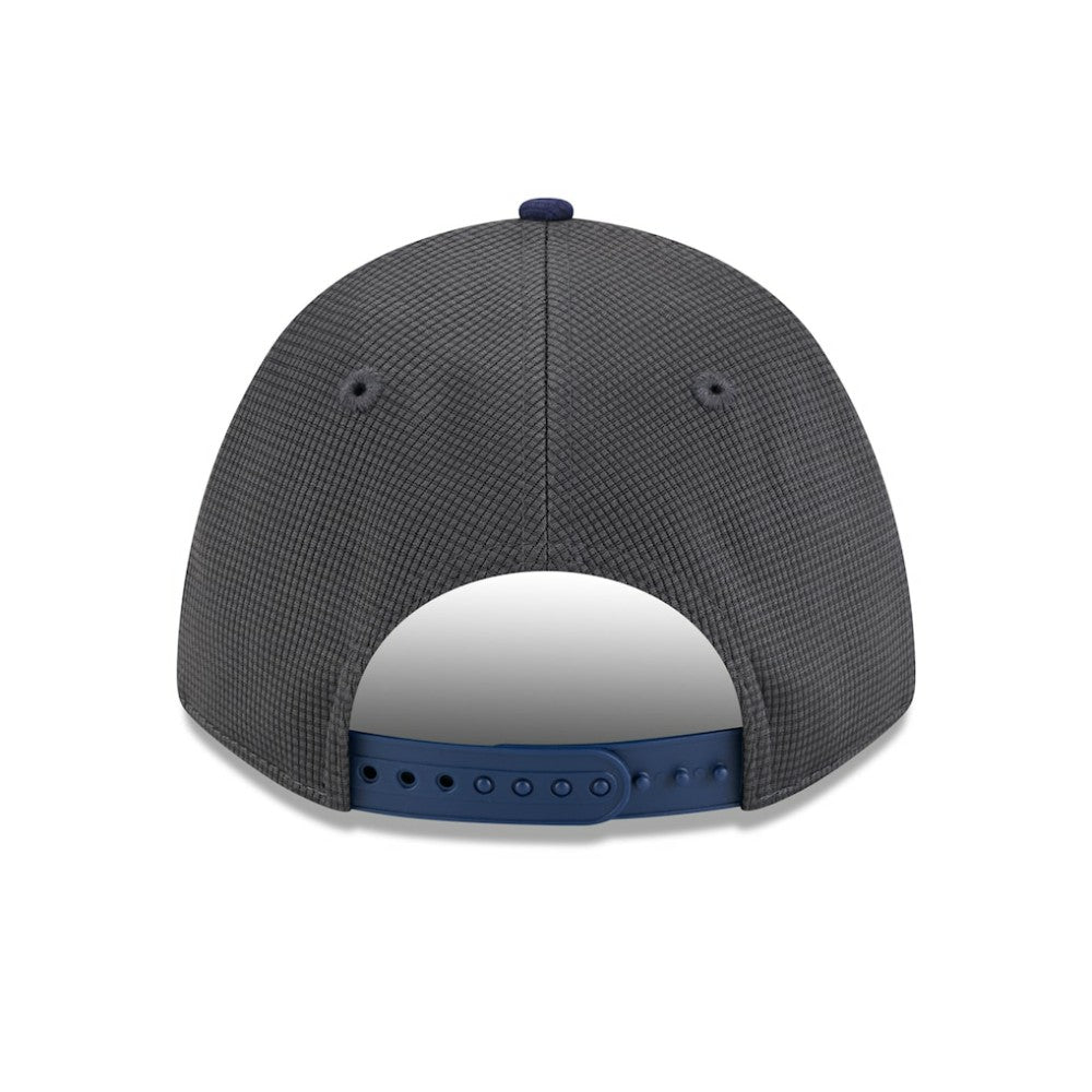 Houston Astros 2025 Batting Practice 9FORTY M-Crown Adjustable Hat Gray/Navy