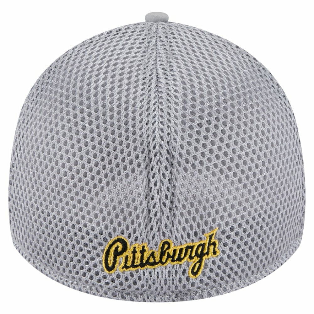 Pittsburgh Pirates Linear 39THIRTY Flex Hat Gray