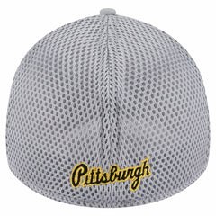 Pittsburgh Pirates Linear 39THIRTY Flex Hat Gray