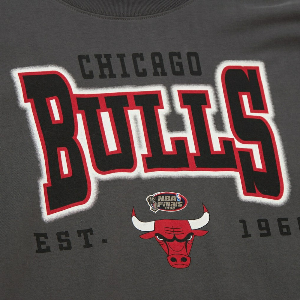 Chicago Bulls Women's Hardwood Classics Oversized Boyfriend T-Shirt sale - Charcoal cheap