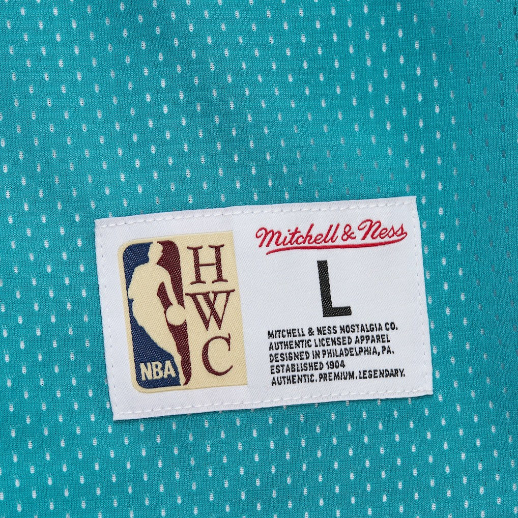 Charlotte Hornets Hardwood Classics Reversible Mesh Practice Jersey - Teal/White cheap