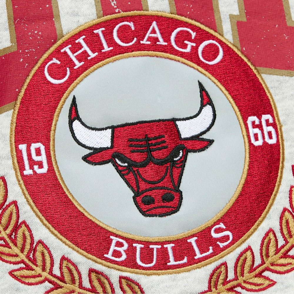 Chicago Bulls Vintage Logo Pullover Sweatshirt - Heather Gray on sale