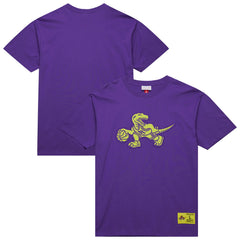 Toronto Raptors Hardwood Classics Neon Nights Premium T-Shirt - Raptors Purple sale