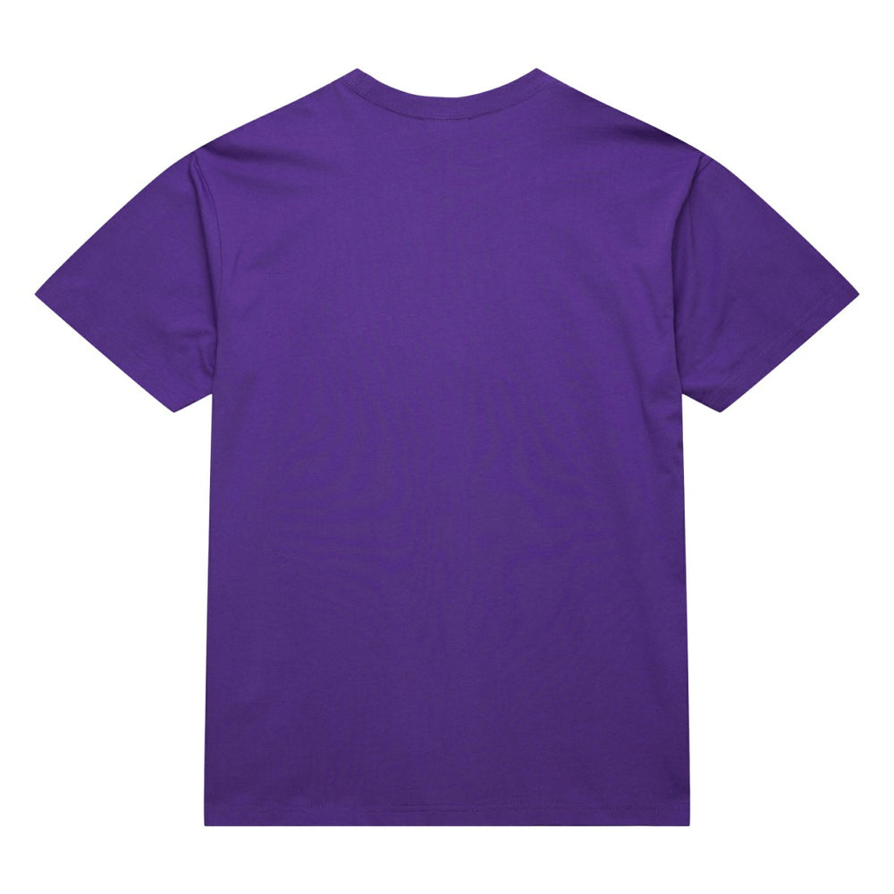 Toronto Raptors Hardwood Classics Neon Nights Premium T-Shirt - Raptors Purple sale
