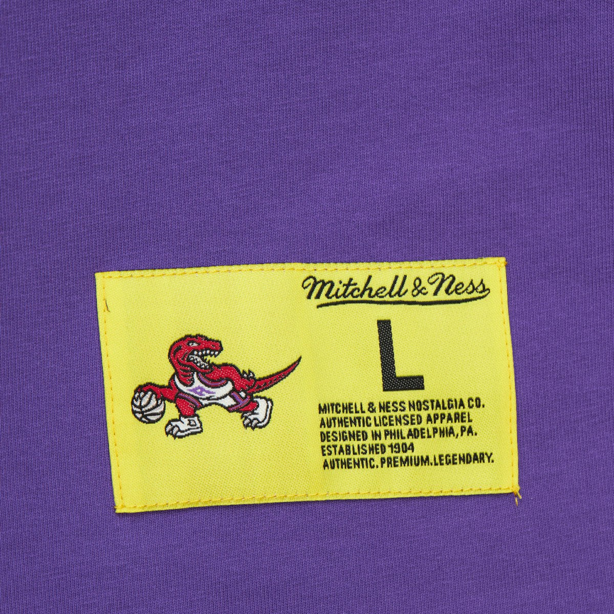 Toronto Raptors Hardwood Classics Neon Nights Premium T-Shirt - Raptors Purple sale