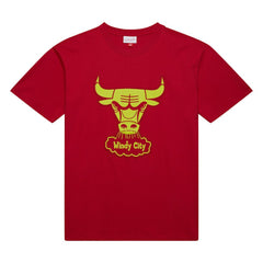 Chicago Bulls Hardwood Classics Neon Nights Premium T-Shirt sale - Red outlet