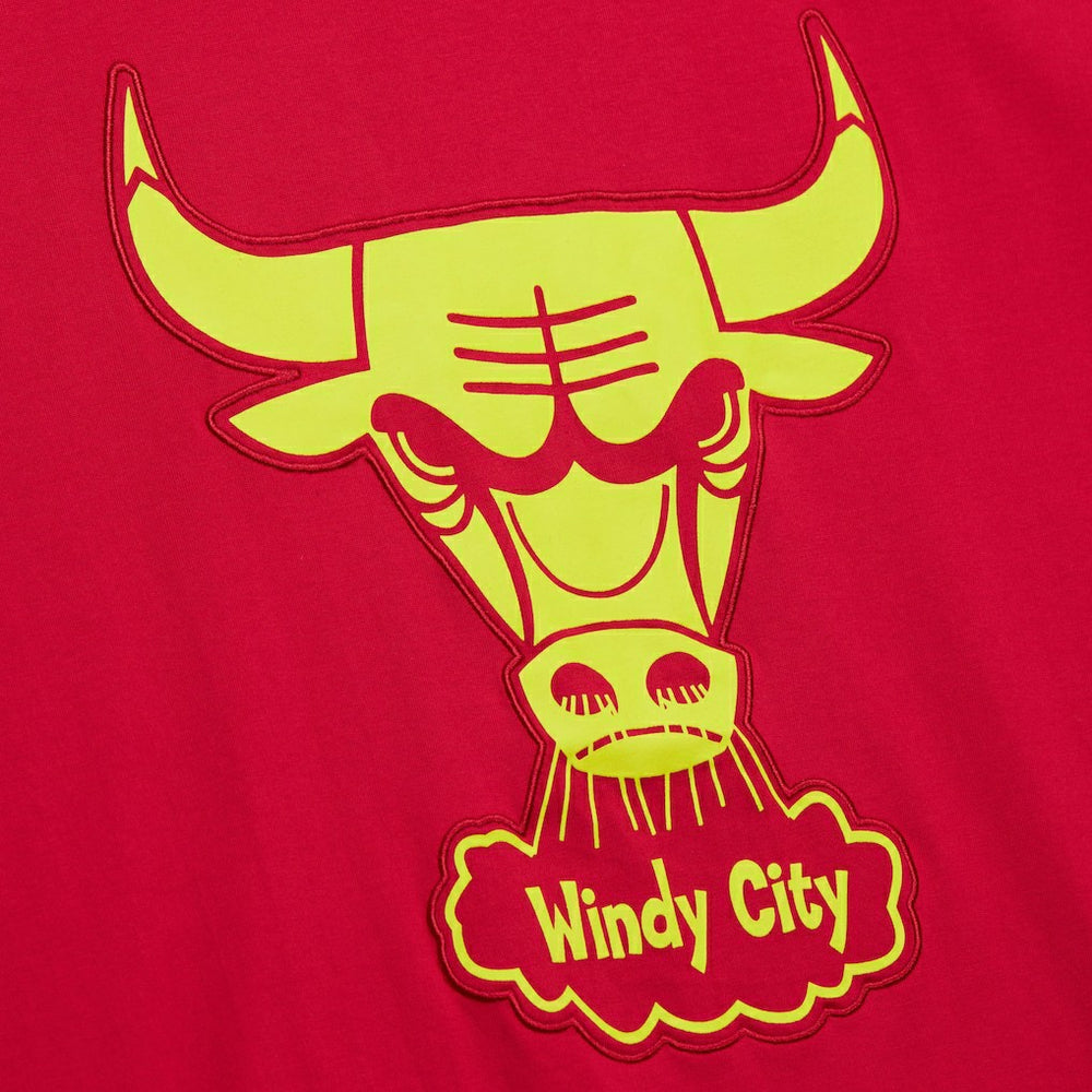 Chicago Bulls Hardwood Classics Neon Nights Premium T-Shirt sale - Red outlet