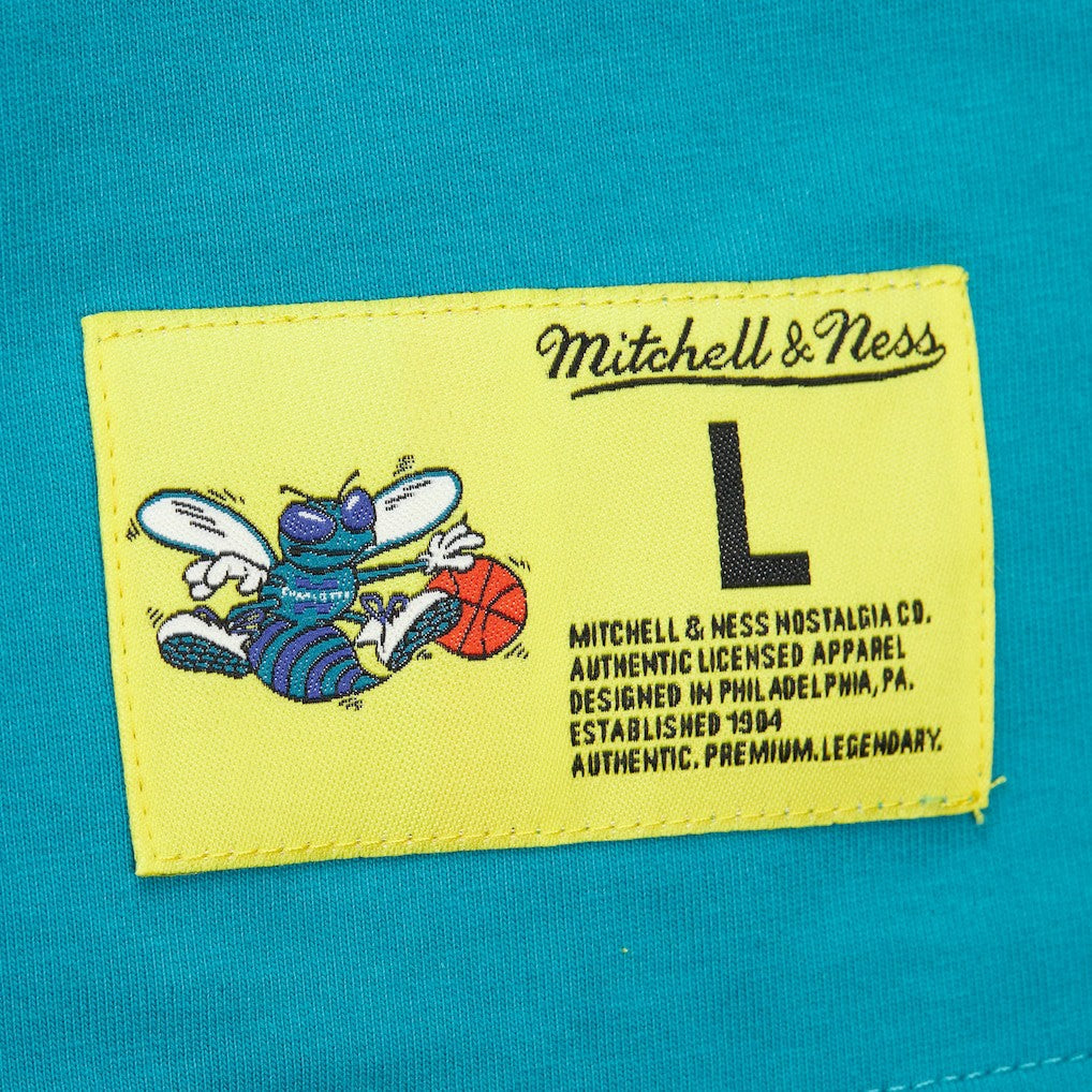 Charlotte Hornets Hardwood Classics Neon Nights Premium T-Shirt - Teal online