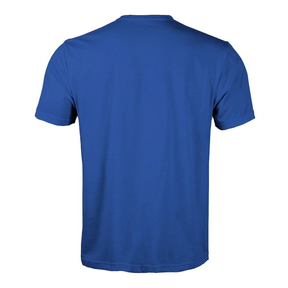 St. Louis Blues Levelwear Richmond Ice Wall T-Shirt - Blue T-shirts