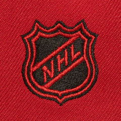 Detroit Red Wings Mitchell & Ness Soul Triple Up Snapback Hat - Red Hats