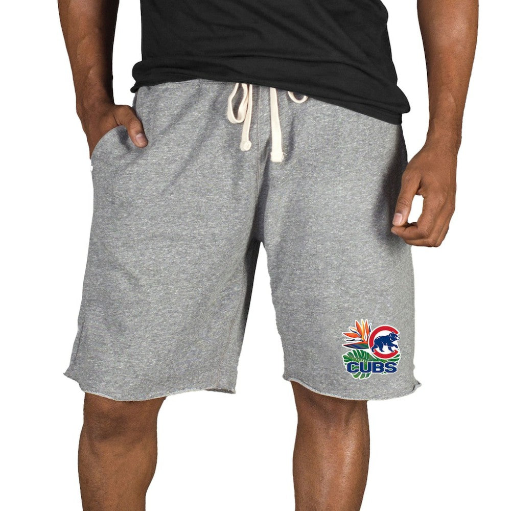 Chicago Cubs Concepts Sport Mainstream Tri-Blend Shorts Gray