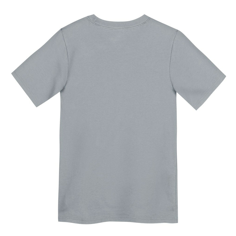 Dallas Cowboys Preschool Icon Legend Dri-FIT T-Shirt - Gray cheap