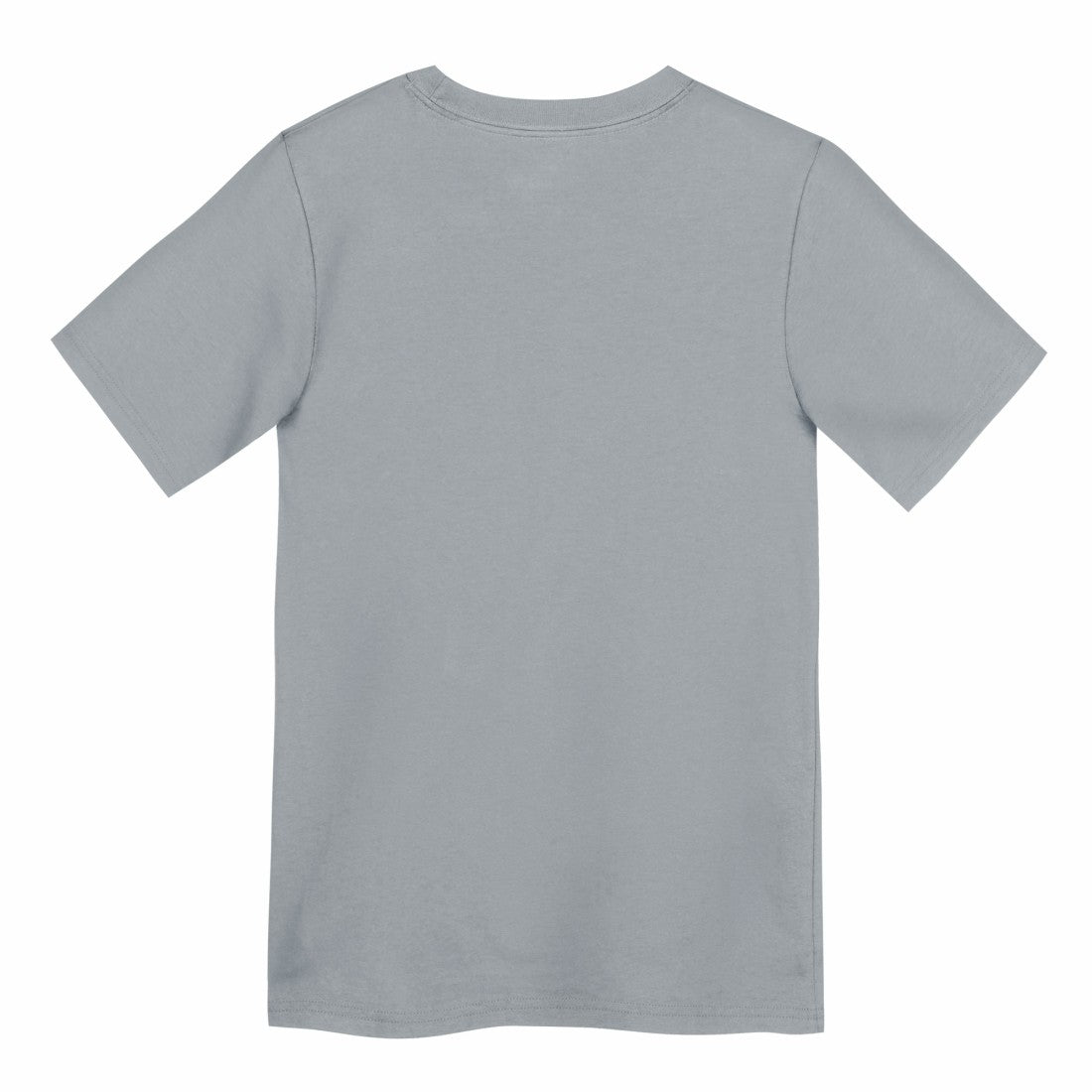 Detroit Lions Preschool Icon Legend Dri-FIT T-Shirt - Gray online
