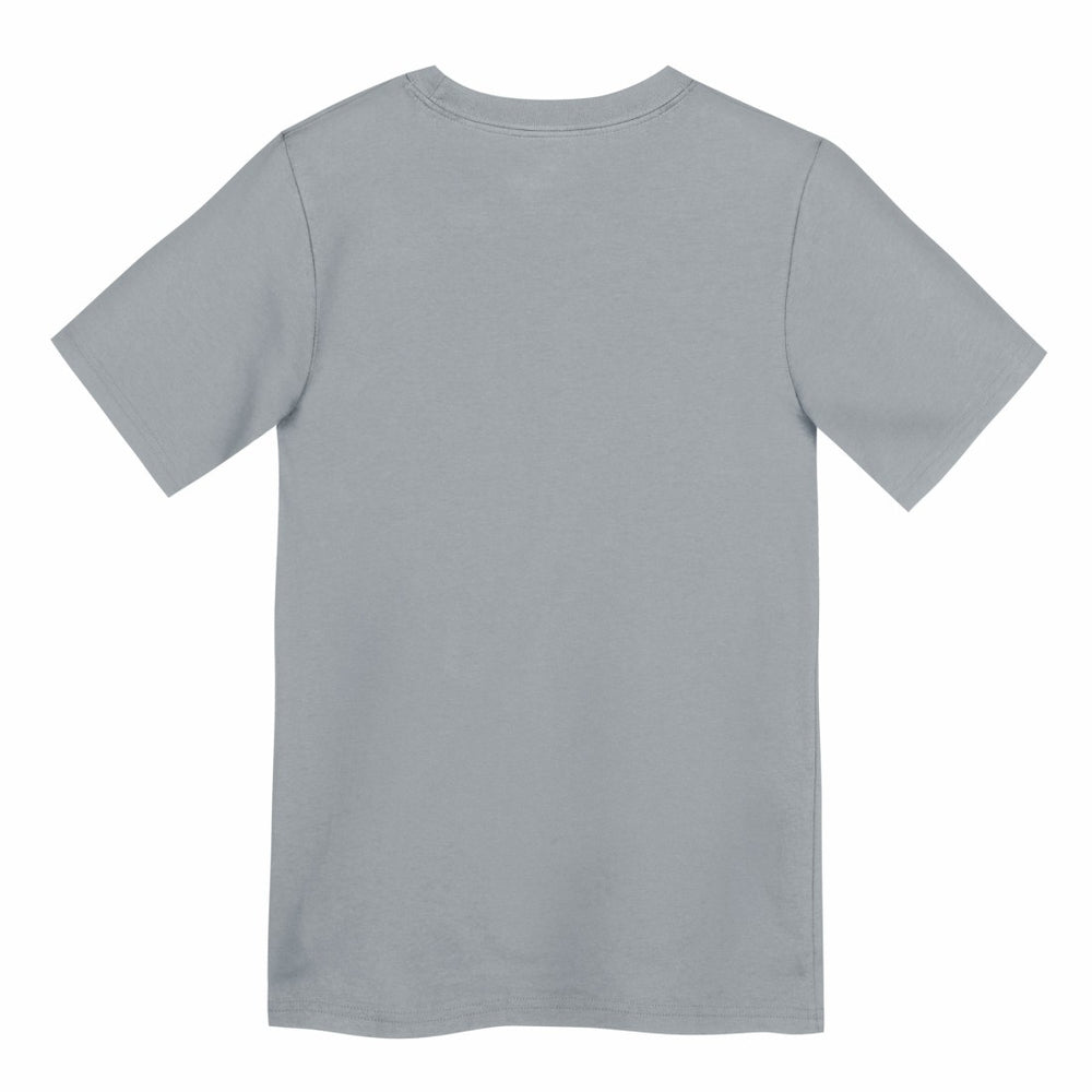 Detroit Lions Preschool Icon Legend Dri-FIT T-Shirt - Gray online