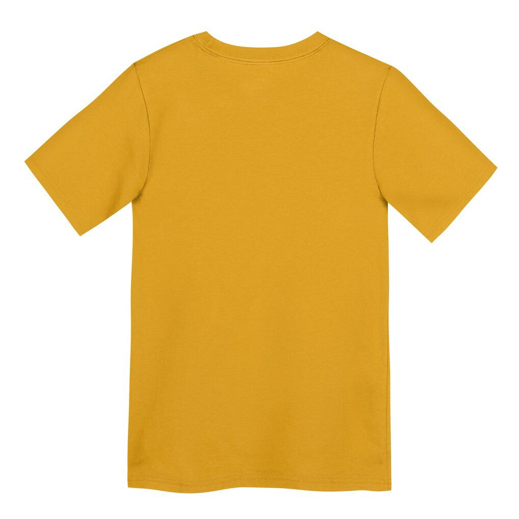 Pittsburgh Steelers Preschool Icon Legend Dri-FIT T-Shirt - Gold for sale