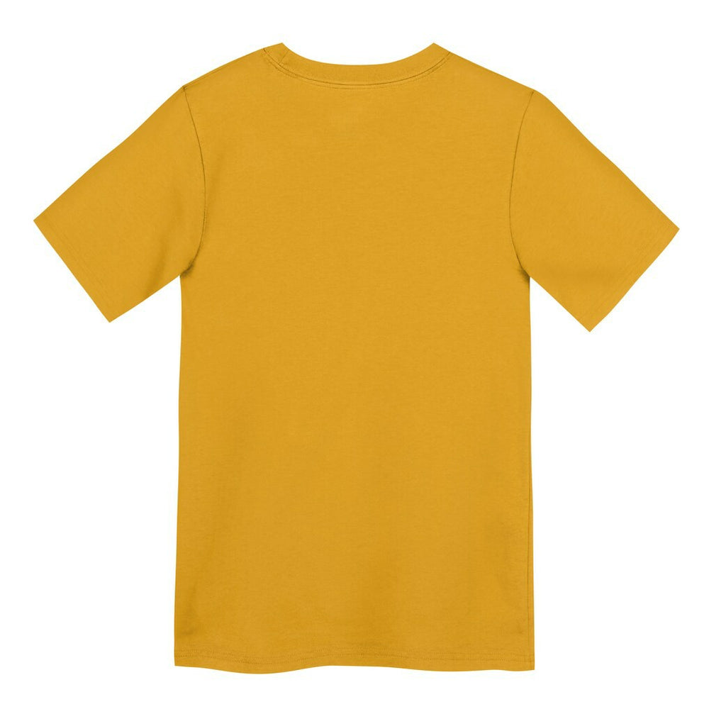 Pittsburgh Steelers Preschool Icon Legend Dri-FIT T-Shirt - Gold for sale
