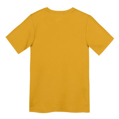 Pittsburgh Steelers Preschool Icon Legend Dri-FIT T-Shirt - Gold for sale