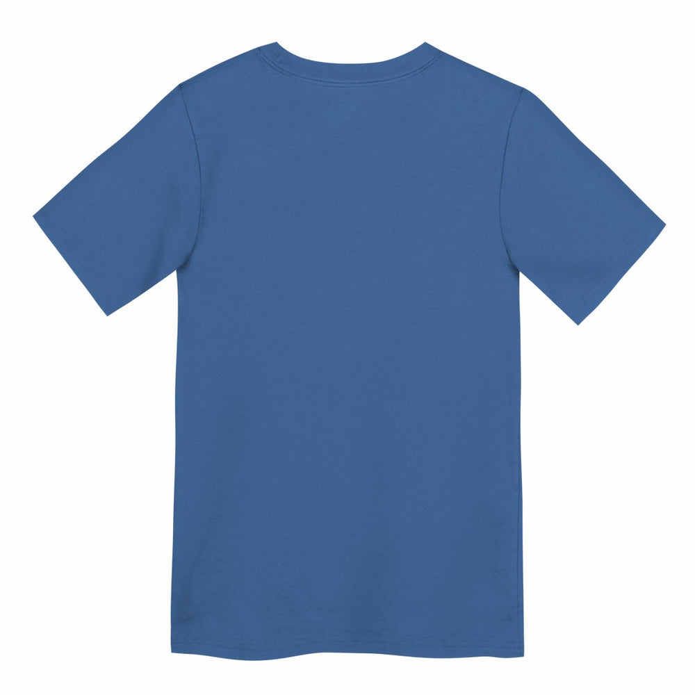 Detroit Lions Preschool Primary Logo Legend Performance T-Shirt - Blue sale