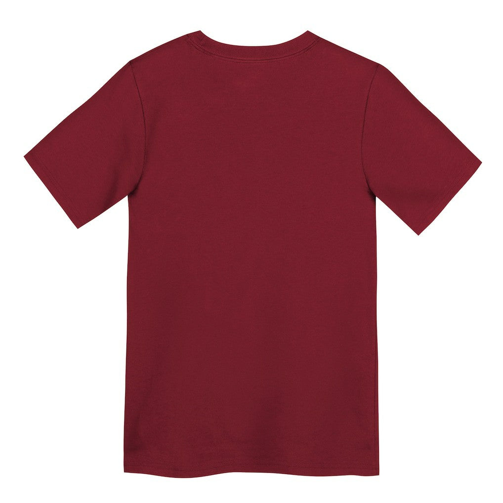 San Francisco 49ers Preschool Primary Logo Legend Performance T-Shirt - Scarlet discount