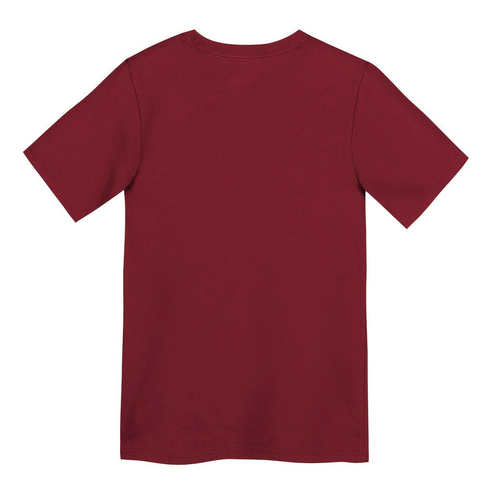 San Francisco 49ers Preschool Primary Logo Legend Performance T-Shirt - Scarlet discount