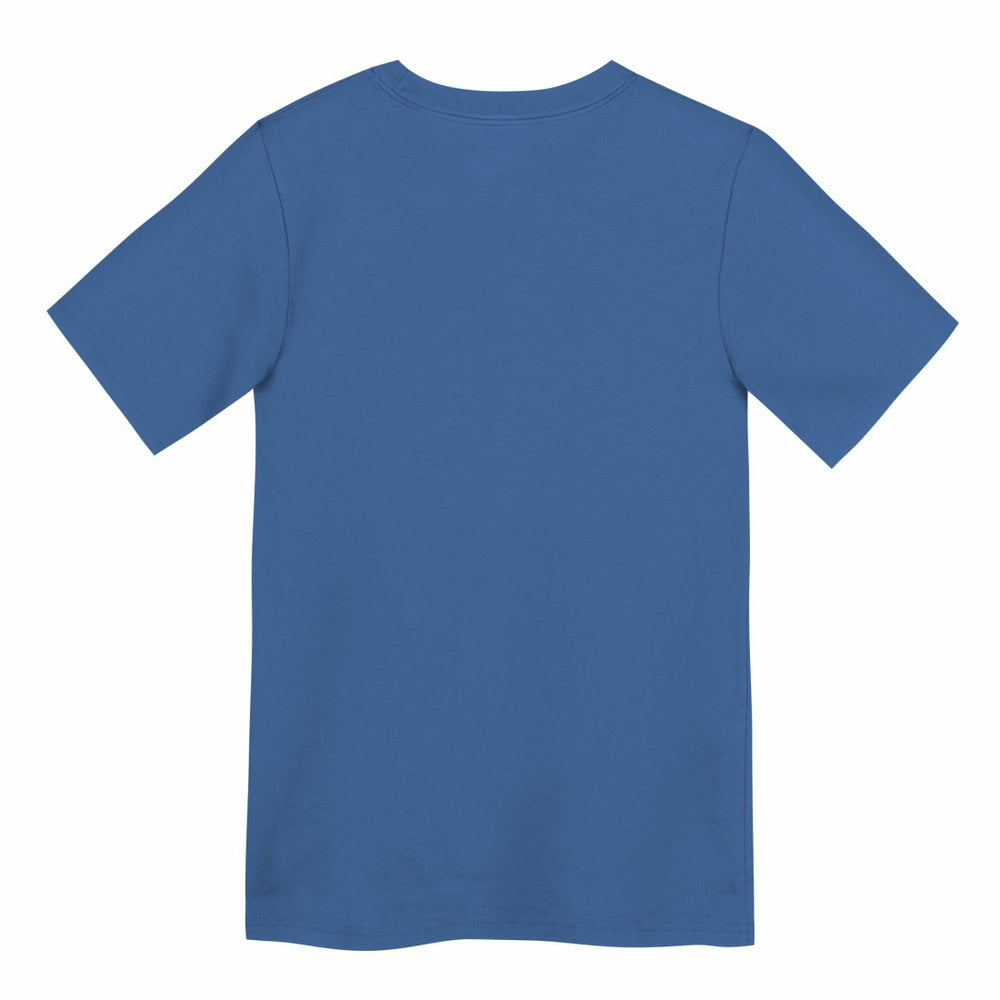 Detroit Lions Preschool Wordmark T-Shirt - Blue online