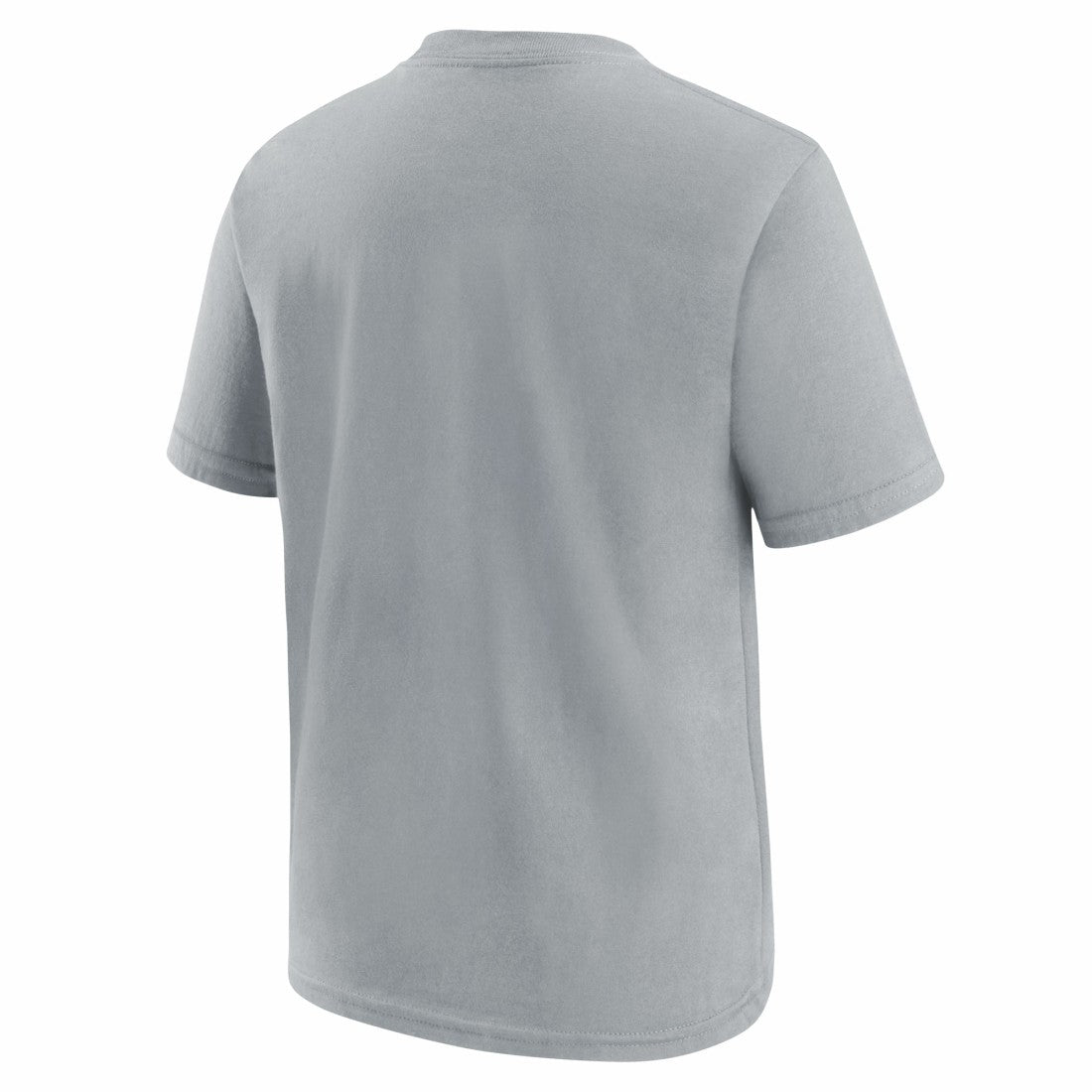 Detroit Lions Youth Icon Legend T-Shirt - Gray online