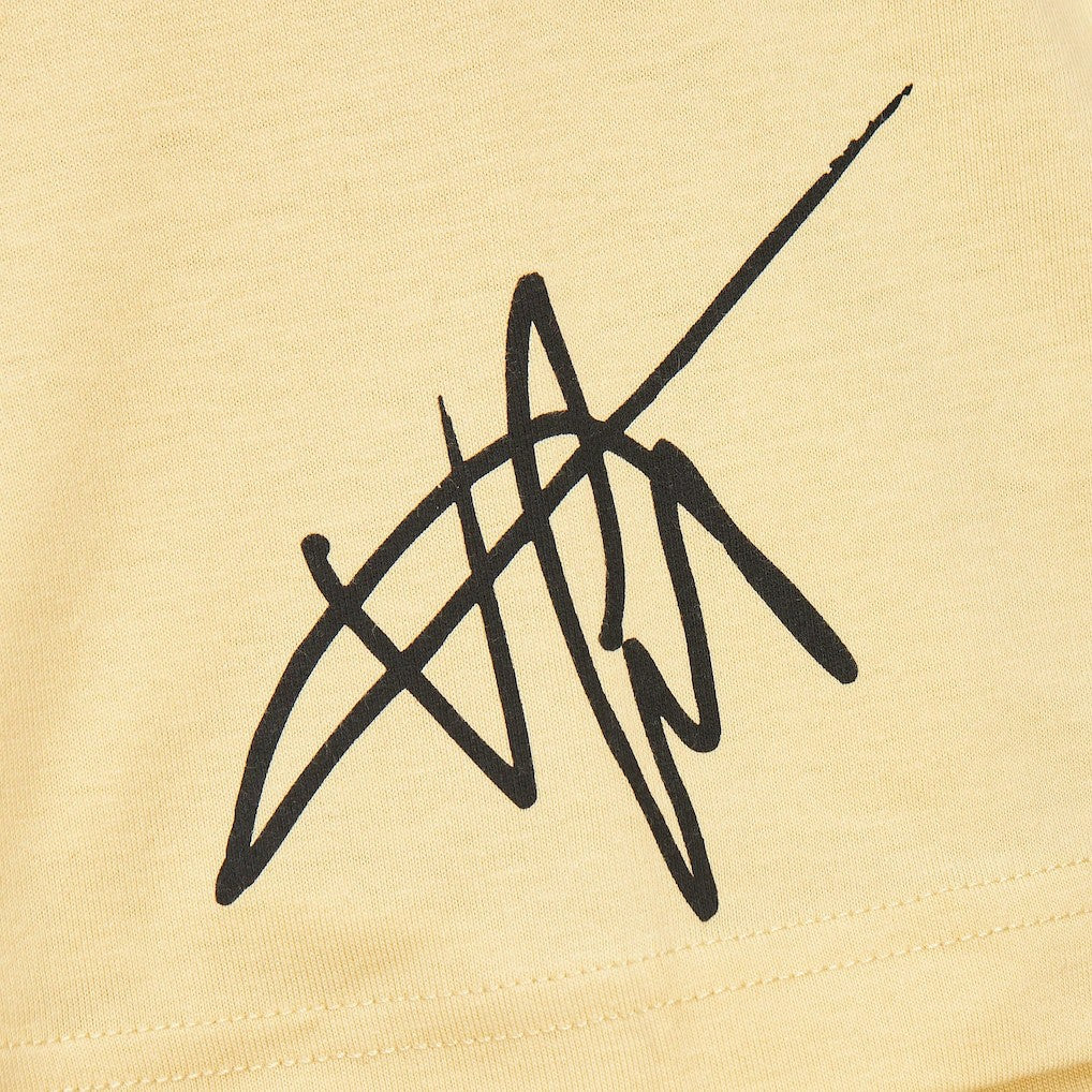 Vince Carter Toronto Raptors Premium T-Shirt - Cream outlet