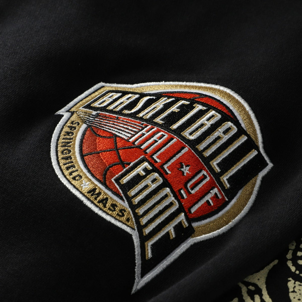 Vince Carter Toronto Raptors NBA Hall of Fame 2024 Fleece Pullover Hoodie - Black discount