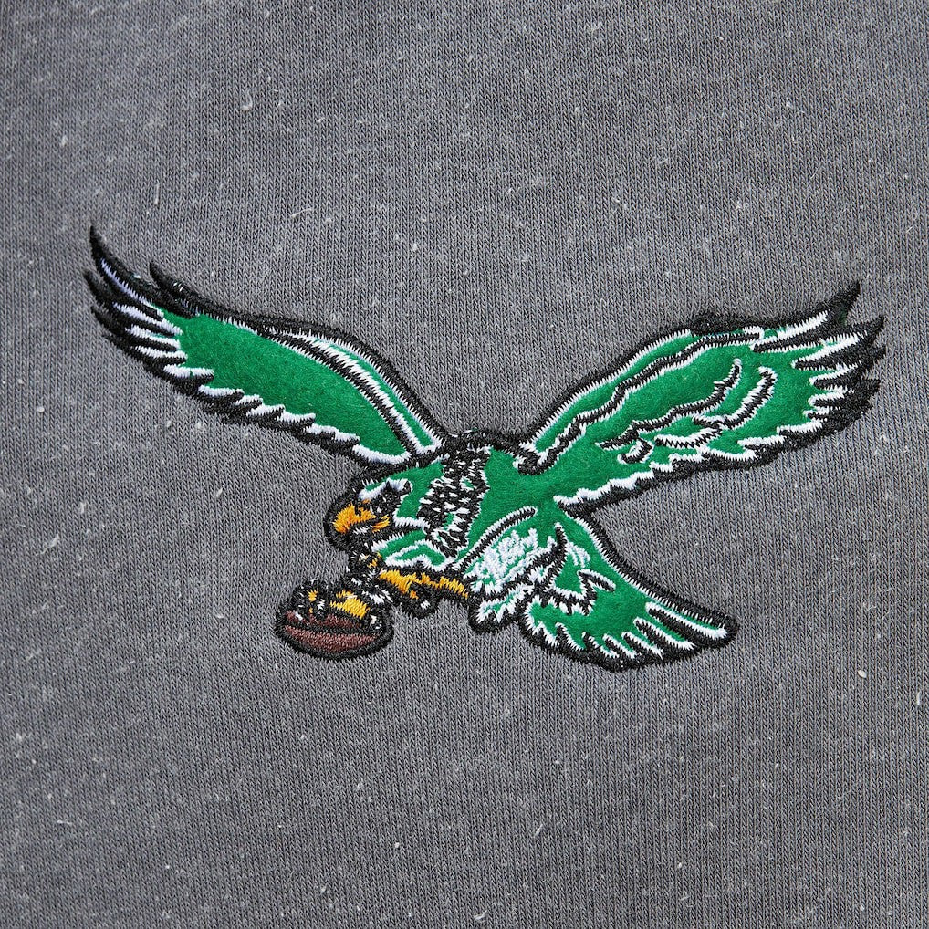 Philadelphia Eagles Vintage Logo Snow Washed Fleece Pullover Hoodie - Heather Gray for sale