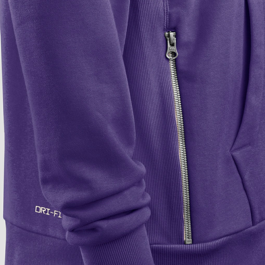Minnesota Vikings Sideline Standard Issue Initial Home Dri-FIT Hoodie - Purple discount