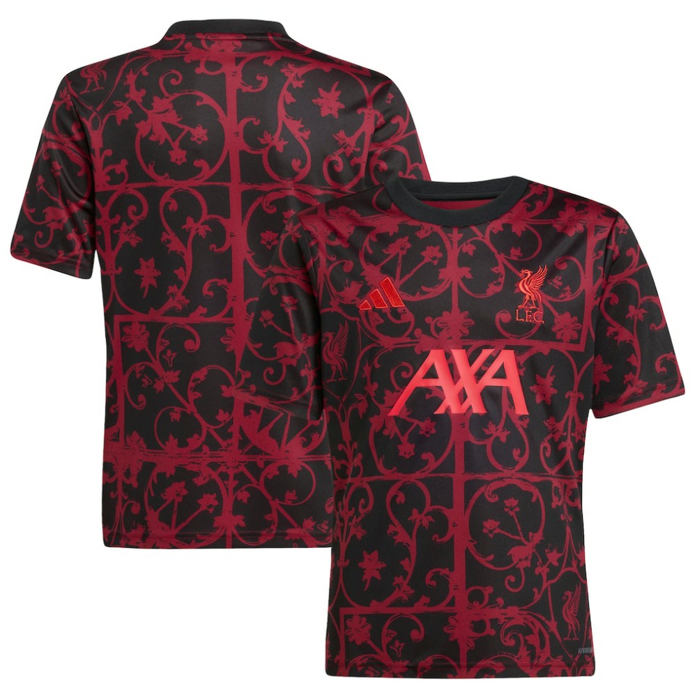 Liverpool Youth 2025/26 Pre-Match AEROREADY Top - Black online