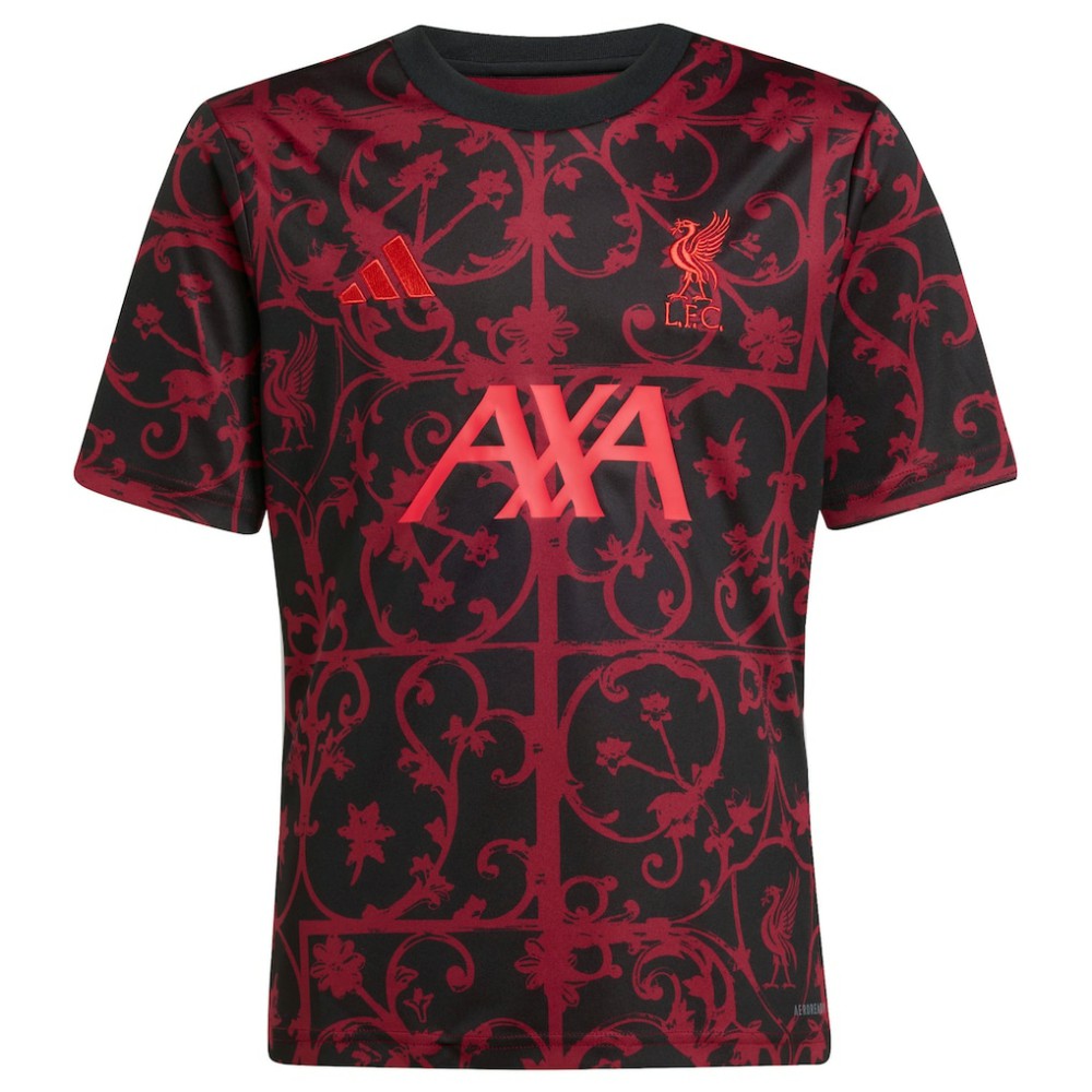 Liverpool Youth 2025/26 Pre-Match AEROREADY Top - Black online