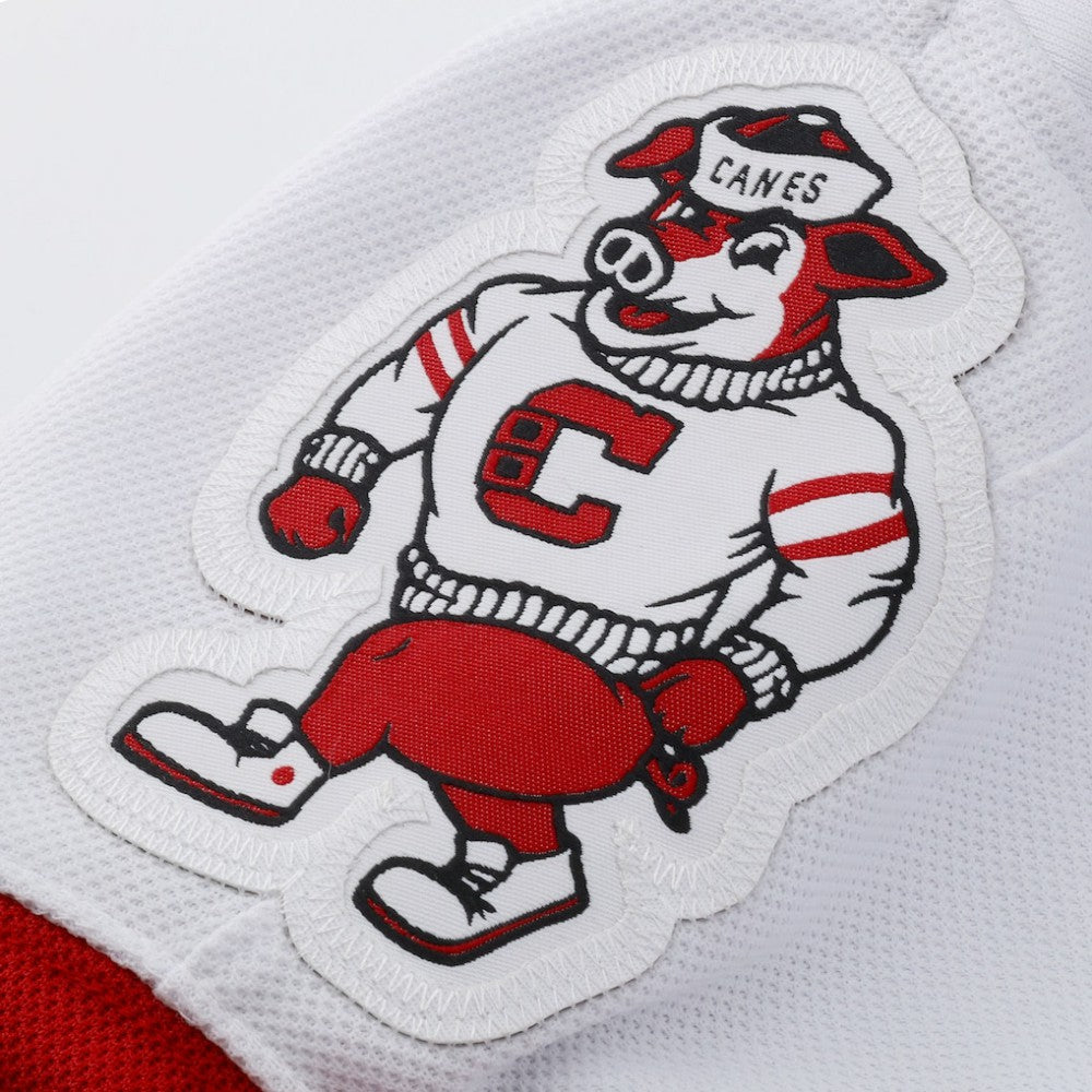Andrei Svechnikov Carolina Hurricanes Fanatics Away Premium Jersey - White Jerseys