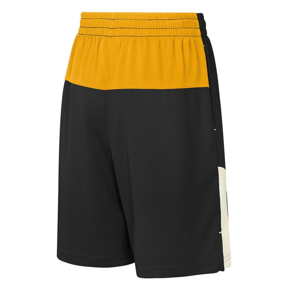 Pittsburgh Steelers Youth Fandemonium Mesh Shorts - Black cheap