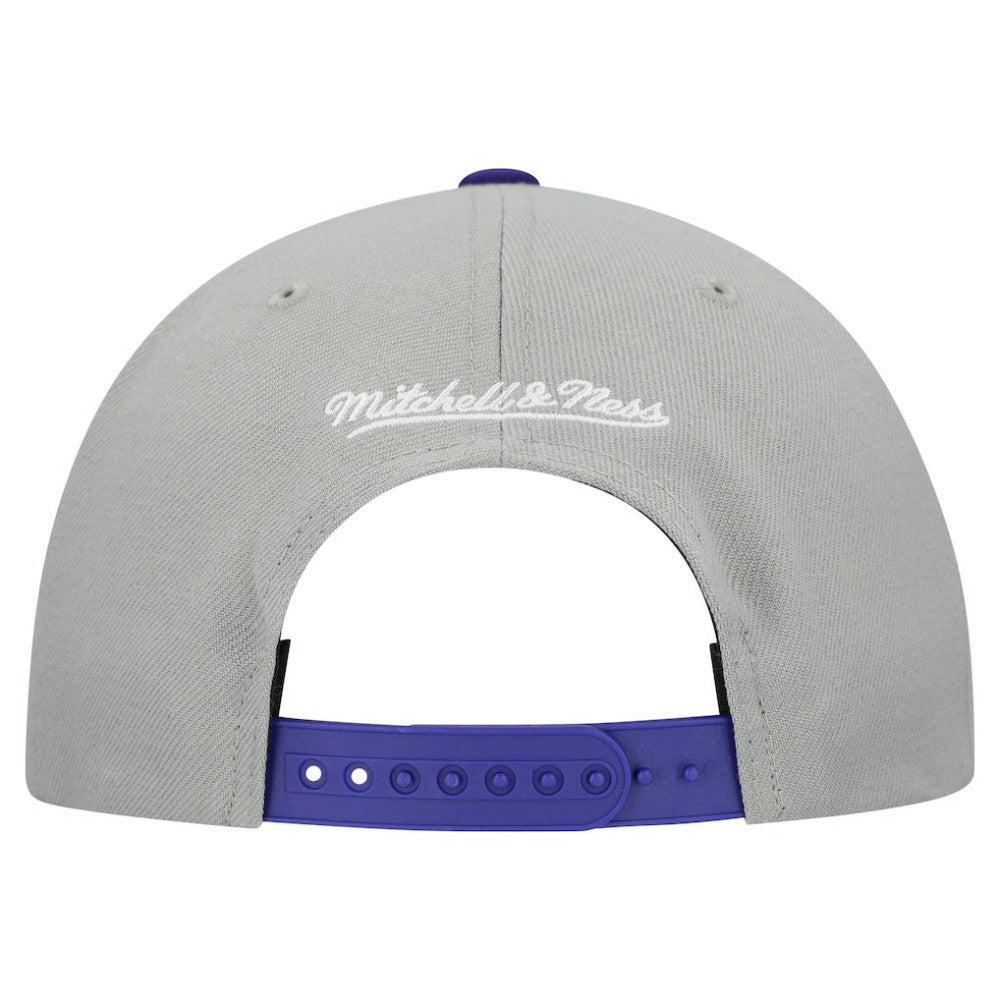 Tampa Bay Rays Cooperstown Collection Basic Flip Snapback Hat Gray