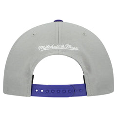 Tampa Bay Rays Cooperstown Collection Basic Flip Snapback Hat Gray